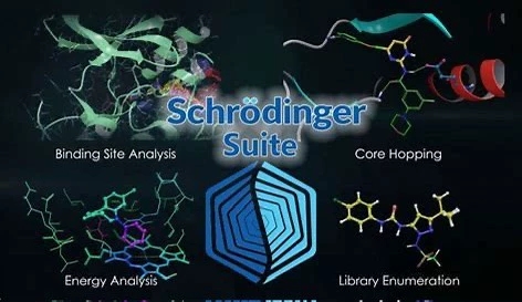 Schrodinger Suite 2025.4 Win系统版 薛定谔分子对接软件药物设计schrodinger